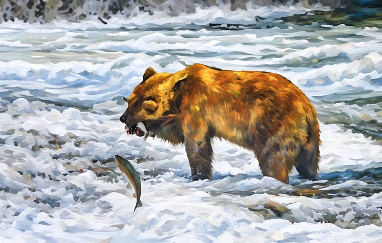 Card 0914 Brown Bear, Leaping Salmon Brooks Falls Katmai NP watercolor