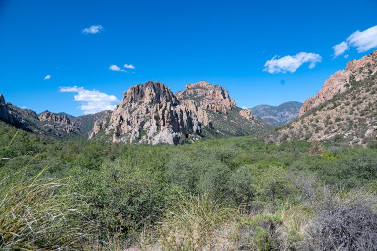 0977 Two Canyons near South Fork of Cave Creek, SE AZ