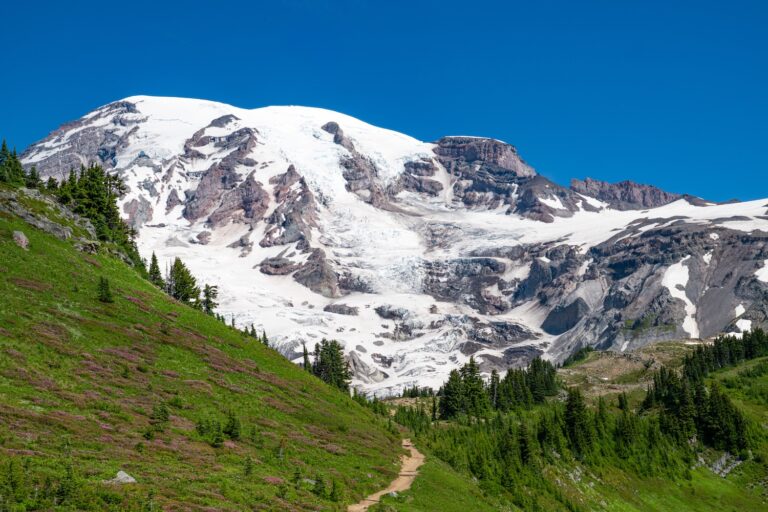 1004 Mt. Ranier National Park Paradise