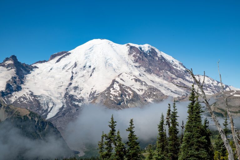 1006 Mt. Ranier National Park Sunrise
