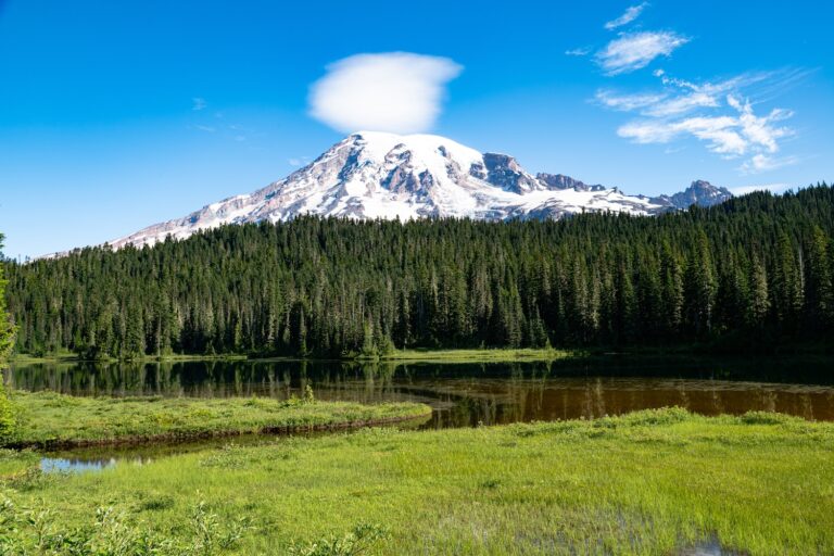 1007 Mt. Ranier National Park Tipsoo Lake 2026